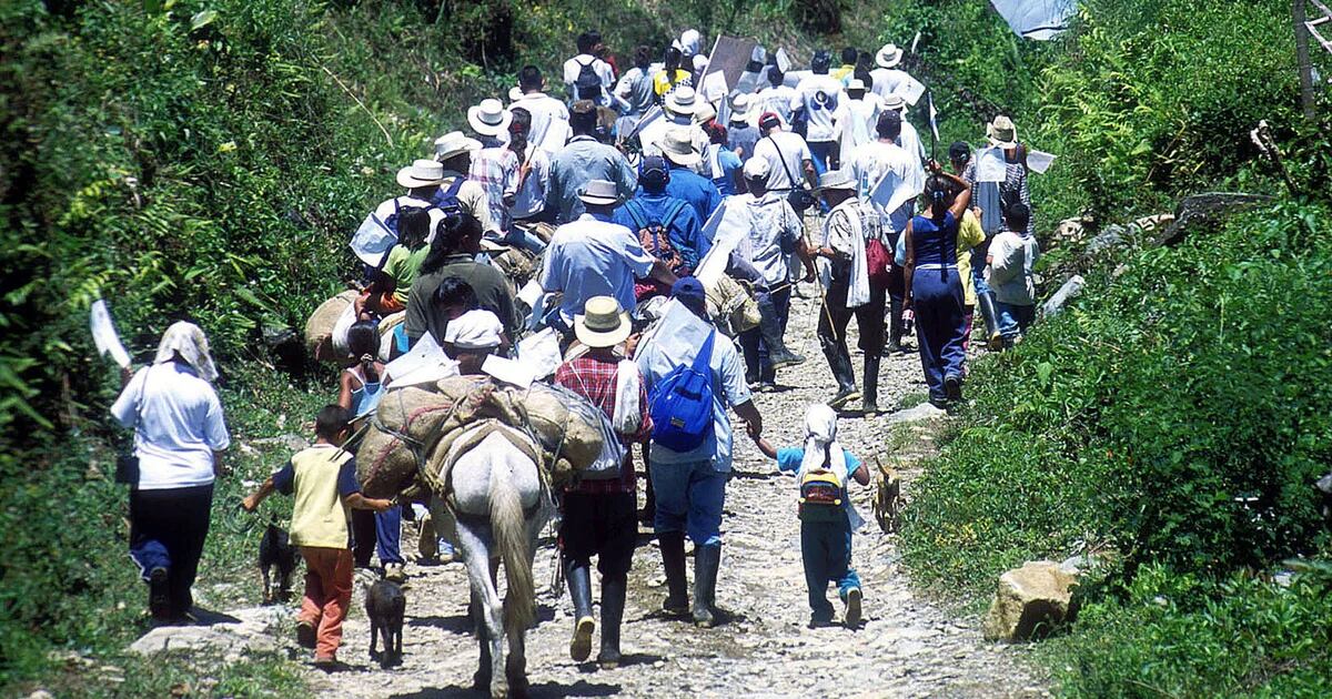 América Latina registró 1 2 millones de desplazados en un año Infobae