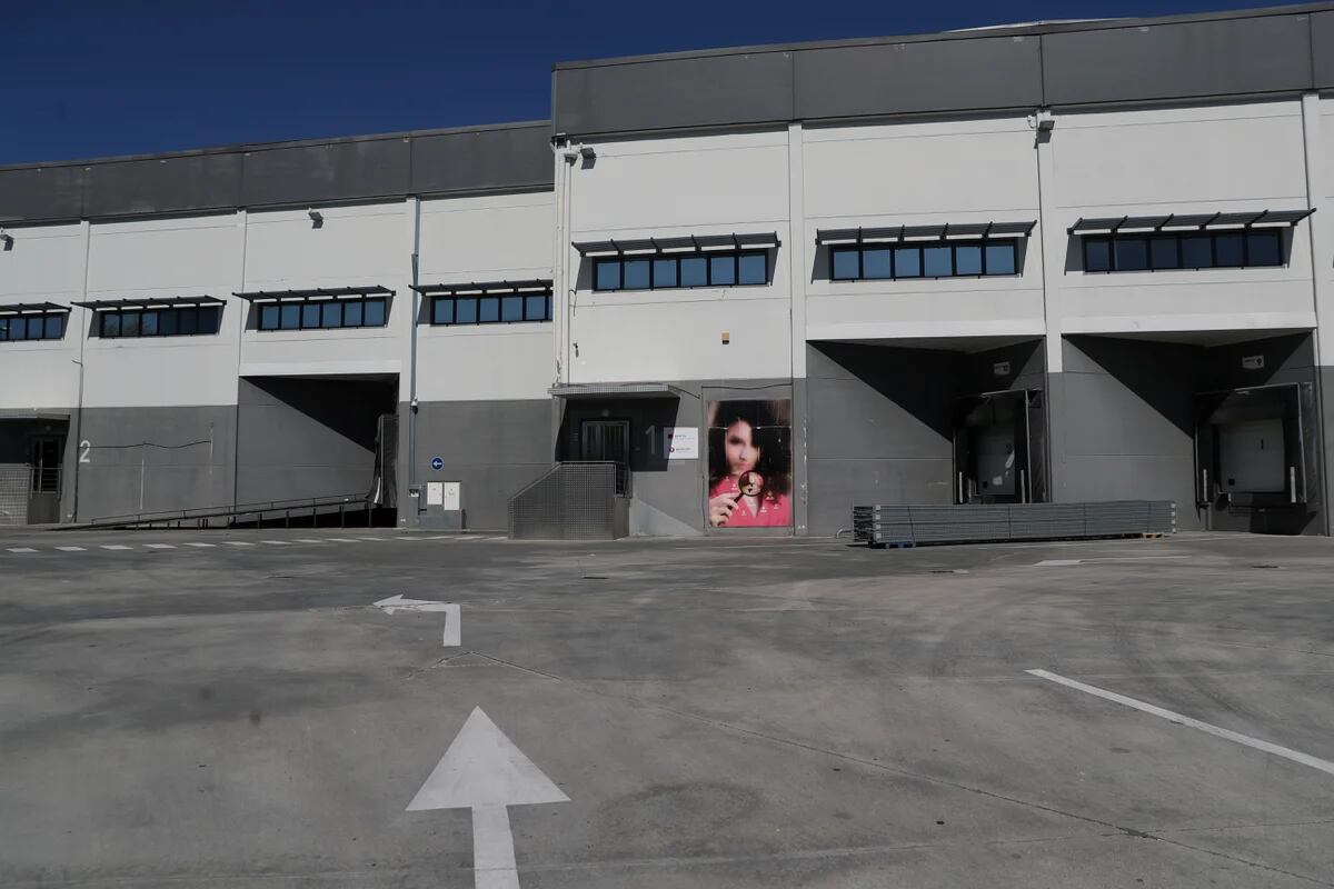 América Latina en emergencia la pandemia de violencia machista recrudece con la pandemia