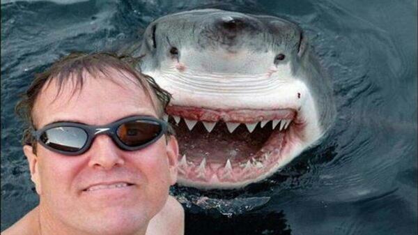 Sonrie, hay un tiburón detras tuyo