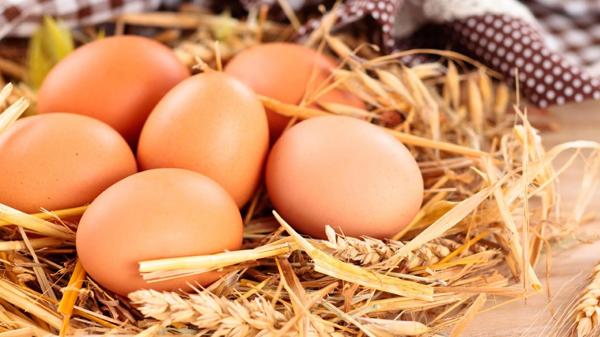 La Semana Mundial del Huevo se celebra todos los años desde 1996