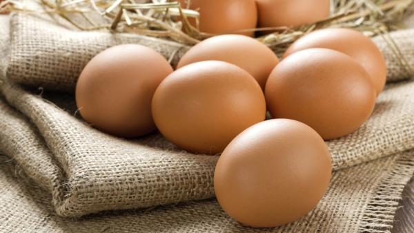 Los huevos son muy importantes para mejorar la dieta