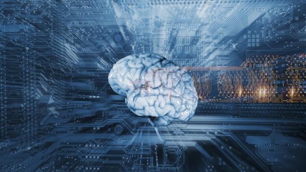 El cerebro posee estructuras tan complejas que es difícil determinar el estado de muerte cerebral (Shutterstock)