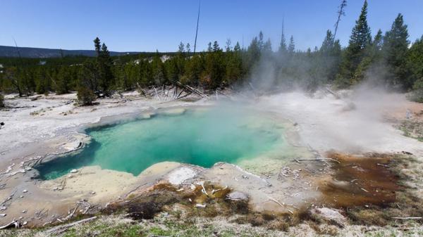 El parque nacional de Yellowstone, en EEUU