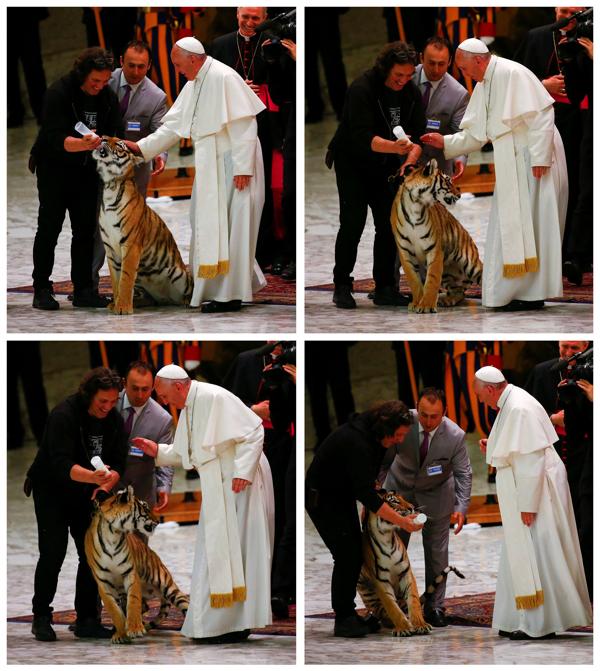 El Papa acarició la cabeza del tigre con un gesto cauteloso (Reuters)