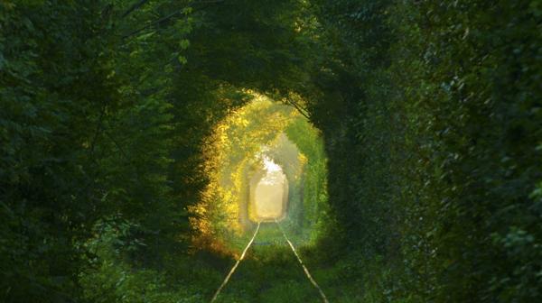 El célebre “Túnel del Amor” de Klevan Ucrania es uno de los lugares más populares del mundo (Shutterstock)