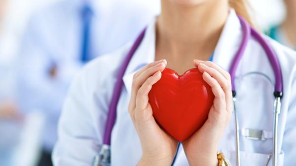 Las claves para que el corazón funcione de manera normal (Shutterstock)