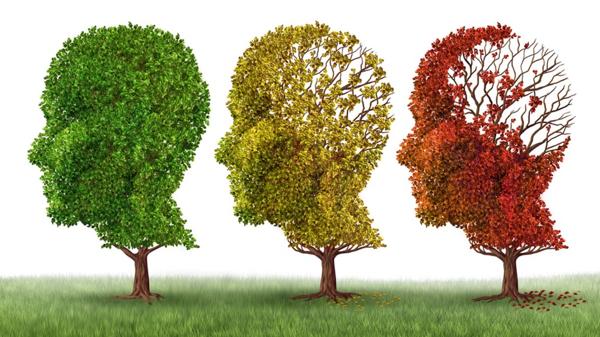 El Alzheimer es la primera causa de demencia en el mundo (Shutterstock)