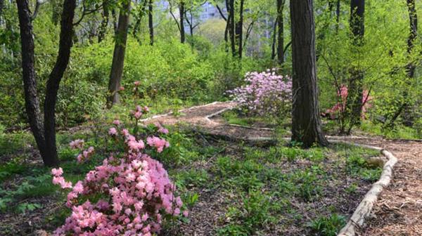 El Hallett Nature Sanctuary es otro de los proyectos en los que invirtió la organización