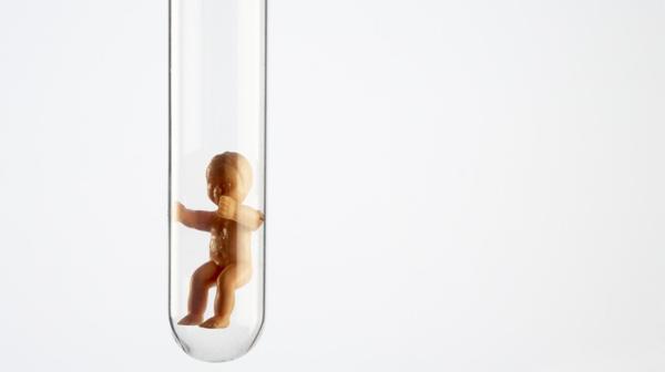 Las técnicas de reproducción humana asistida complejizaron el debate alrededor del inicio de la vida; y esa cuestión impactó también en la discusión sobre el aborto (Shutterstock)