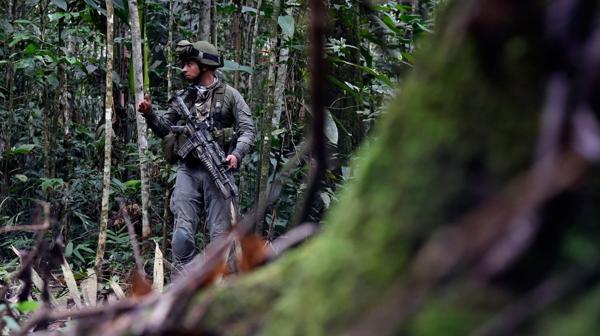 Durante los barridos de las zonas en donde se realizó la operación fueron identificadas nuevas técnicas de picado y secado de la mata de coca (AFP)