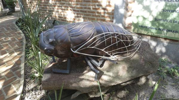 Coyuyo (cigarra), escultura donada por la Fundación Urunday a la reserva Los Chaguares (R.Peiró)
