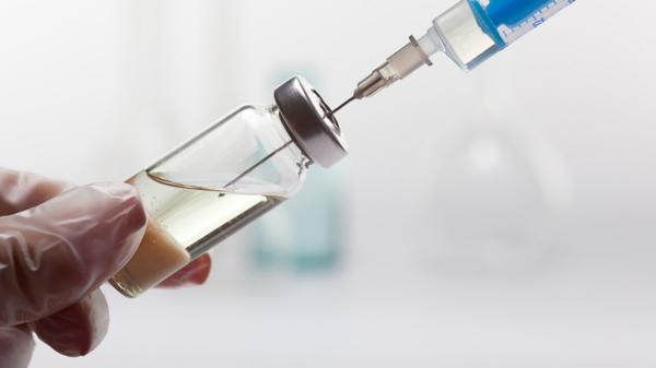 La vacuna está siendo probada en animales (Shutterstock)