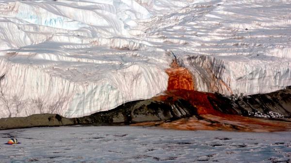 Las Cataratas de Sangre de la Antártida son uno de los fenómenos naturales más increíbles del planeta Tierra (Peter Rejcek)