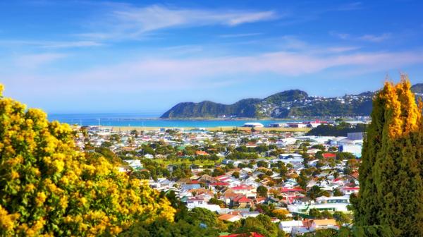 Wellington, la capital de Nueva Zelanda, en el extremo sur de la isla norte, es una de las diez ciudades preferidas por los Millennials (Shutterstock)