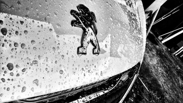 El mítico león de Peugeot sufrió varias alteraciones pero nunca perdió valor para la compañía francesa