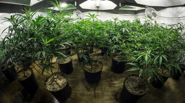 En la Argentina hay aproximadamente 400 mil afectados por la epilepsia (Istockphoto)