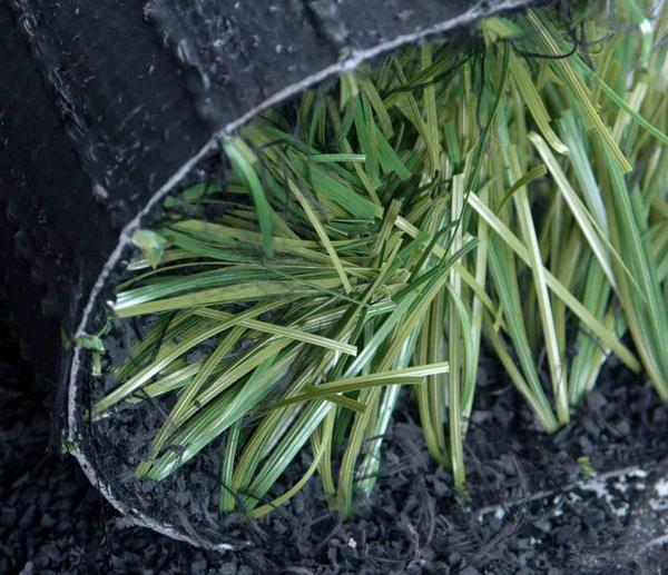 El caucho será objeto de investigación