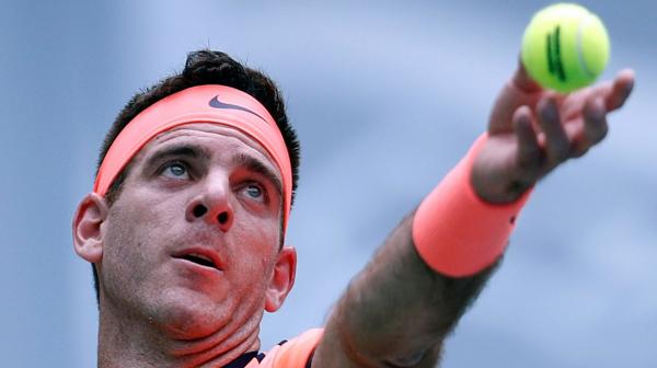 Juan Martín del Potro derrotó a Ivo Karlovic, rival en la final de la Copa Davis (Reuters)
