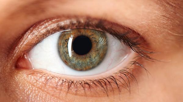Para evitar enfermedades oculares es importante una consulta oftalmológica al año (iStock)