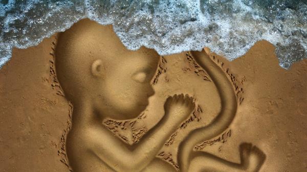 Un fallo reciente de la CIDH dice que se producirá el comienzo de la vida con la anidación del embrión en el seno materno. Este fallo sentaría un precedente importante para el caso argentino”.