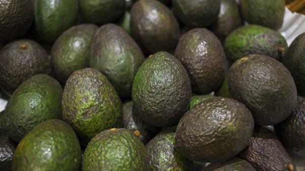 Los productores provocan incendios forestales para luego cultivar en las zonas devastadas (iStock)