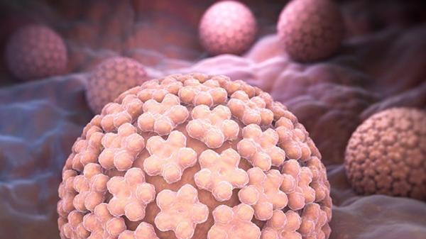 El virus de HPV puede producir en las mujeres cáncer de cuello uterino, vagina y vulva, y en el hombre, cáncer de pene (ISotck)