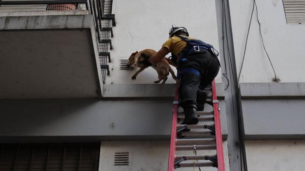 (Facebook – Francisco Morello)