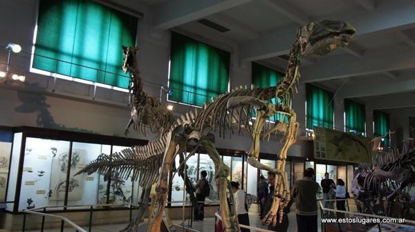 Museo Ciencias Naturales Bernardino Rivadavia – Parque Centenario