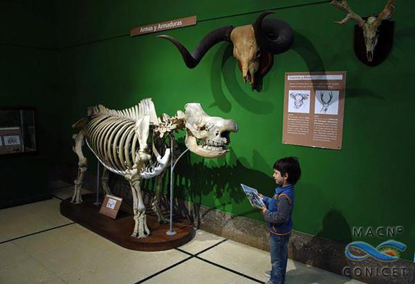 Museo de Ciencias Naturales, parque Centenario