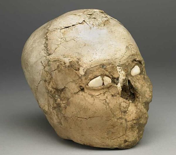 “El Cráneo de Jericó” fue rellenado con yeso y adornado con caracoles en su tiempo (National Geographic)