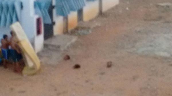 Foto que fue enviada a las autoridades y en la que se observa lo que parece ser tres cabezas sobre el suelo. (AFP)
