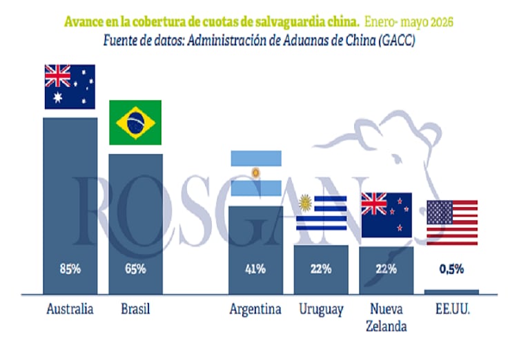 infografia