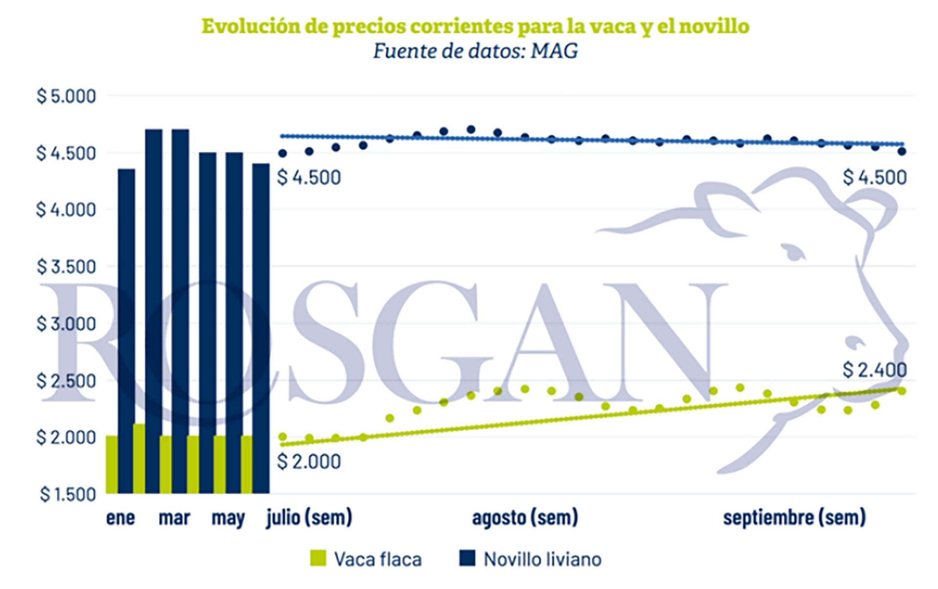 infografia