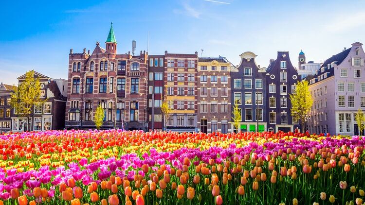 Si bien ha sido conocida por ser una de las ciudades más abiertas sexualmente del mundo, Amsterdam es mucho más que el Barrio Rojo. Una variedad de tiendas sexuales y la actitud generalmente liberal del país hacia la sexualidad ayudan a hacer de Amsterdam una de las ciudades más sexis del mundo