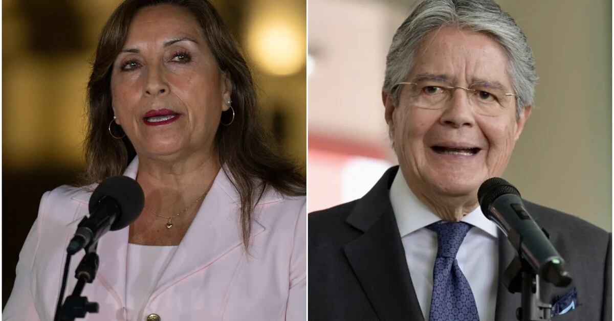 Dina Boluarte will have the first presidential meeting with Guillermo Lasso during the XV Binational Cabinet