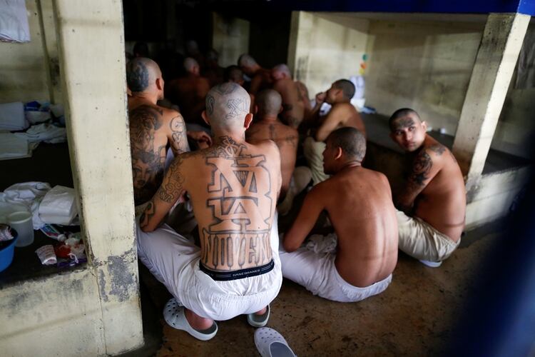 Miles de pandilleros se encuentran detenidos en las cárceles de El Salvador (REUTERS/Jose Cabezas)