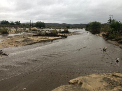 Imagen del paso de Genevieve en Santiago, en el Municipio de Los Cabos, jueves 20 de agosto (Foto: Twitter @BelmarPimentel)