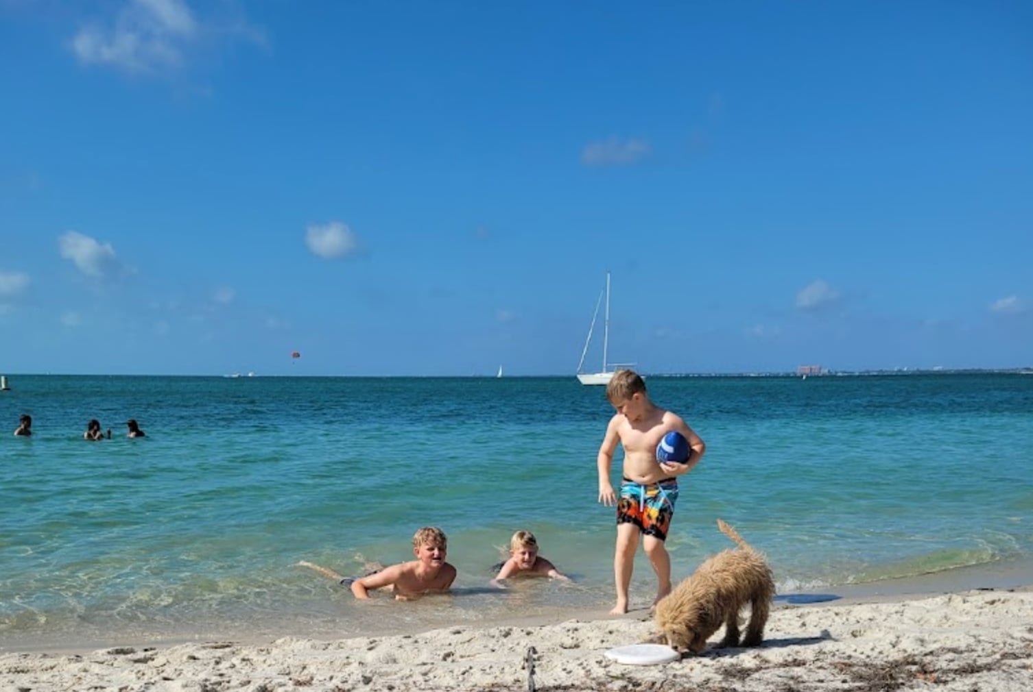Tres niños juegan con su perro en una playa de Miami