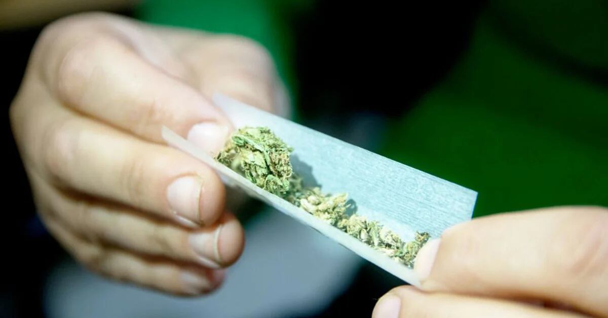 Florida could vote on legalizing recreational marijuana
