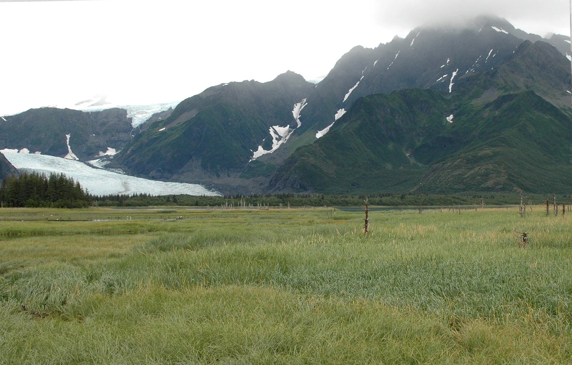 El glaciar Pedersen, en Alaska, derretido en 2005.