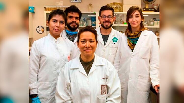 Los resultados son producto de la colaboraciÃ³n de investigadores mexicanos(Foto: Twitter @IPN_MX)