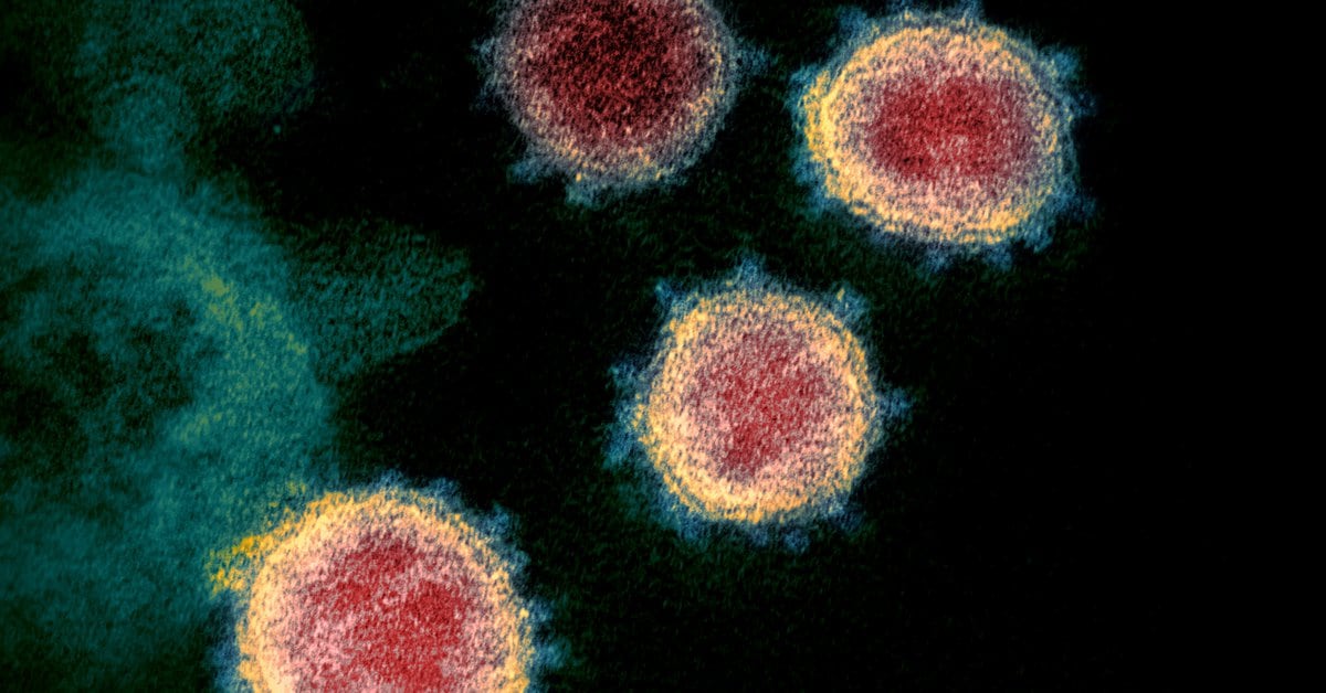 Detects another variant of coronavirus in the United States that may be more resistant