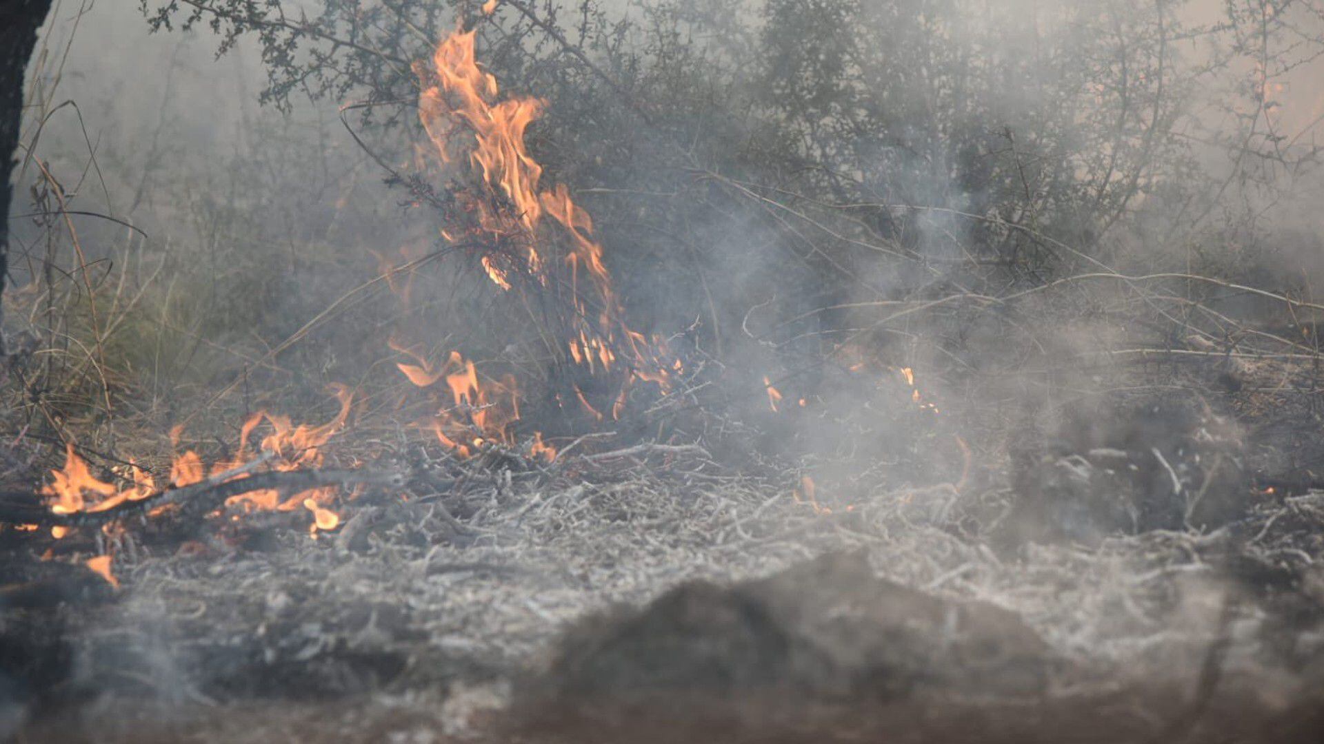 Las llamas comenzaron el lunes en la provincia de Córdoba (Foto: X @JuliLopezOK)
