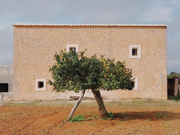 El tercer lugar fue para Magdalena de Jonge Malucha (España) con “Be like Wes Anderson” (Sé como Wes Anderson). La foto se tomó con un iPhone 7 Plus en Santa Agnès de Corona, Ibiza, España.