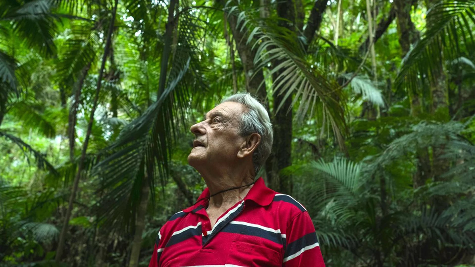 Antonio Vicente compró el terreno en 1973 para recuperar la vegetación perdida (Tommaso Protti/The Guardian)