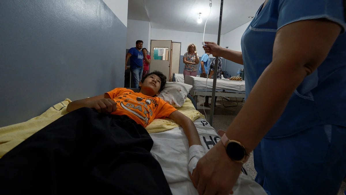 El dengue ya llegó a zonas inesperadas de la Argentina
