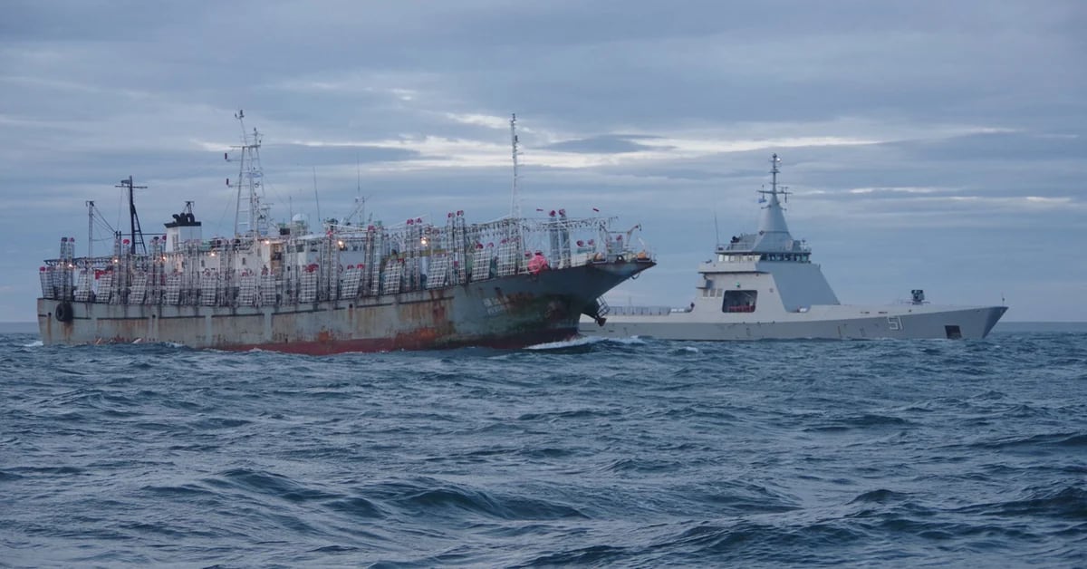 Una flota de más de 300 pesqueros chinos ingresa al Atlántico sur bajo la  atenta mirada de la Armada Argentina - Infobae