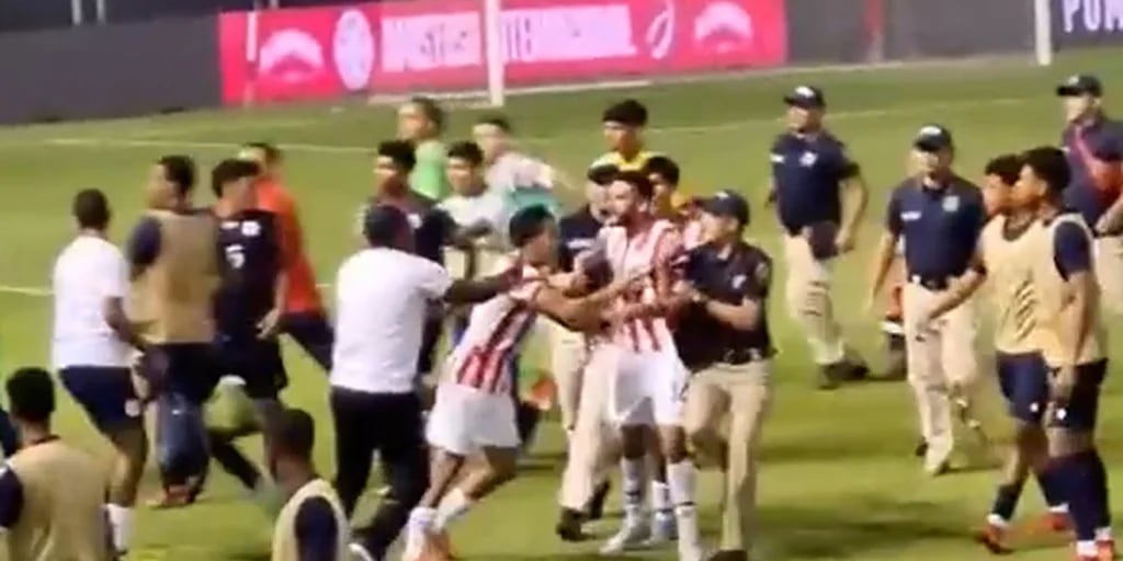 Suspendieron el partido entre Paraguay y República Dominicana tras una batalla campal: “Desde el partido pasado ya se venía picando”