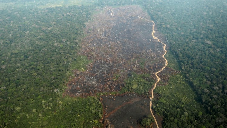 Una toma de las consecuencias de los incendios en el Amazonas (Reuters)
