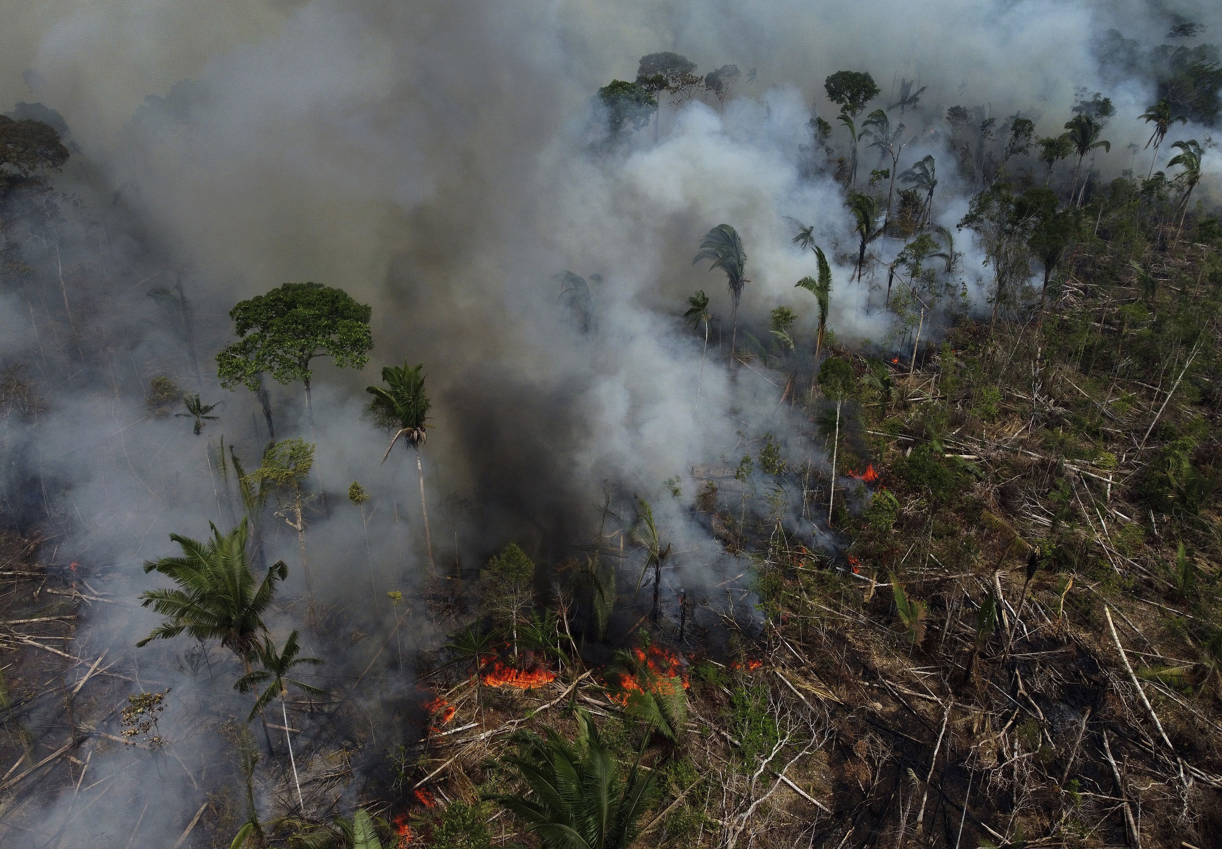 Un incendio forestal arde en la región de la carretera Transamazónica el 17 de septiembre de 2022, en el municipio de Labrea, estado Amazonas, Brasil (AP Foto/Edmar Barros/Archivo)